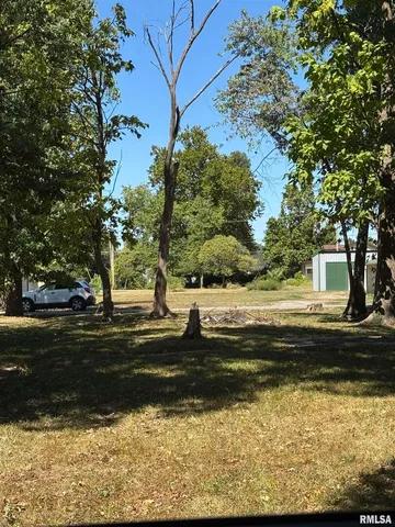 a view of backyard with green space
