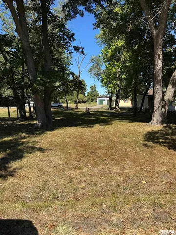 a view of a yard with a tree