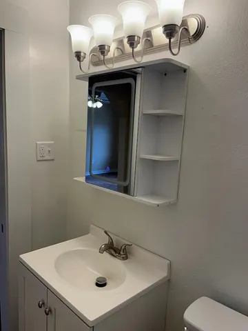 a bathroom with a sink and a toilet