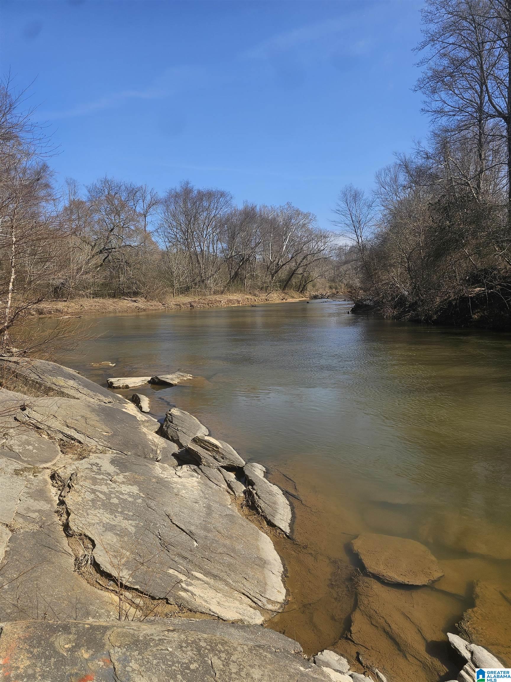 1150 River Road Heflin, AL 36264 - Photo 40 of 56 Gallery Image 40