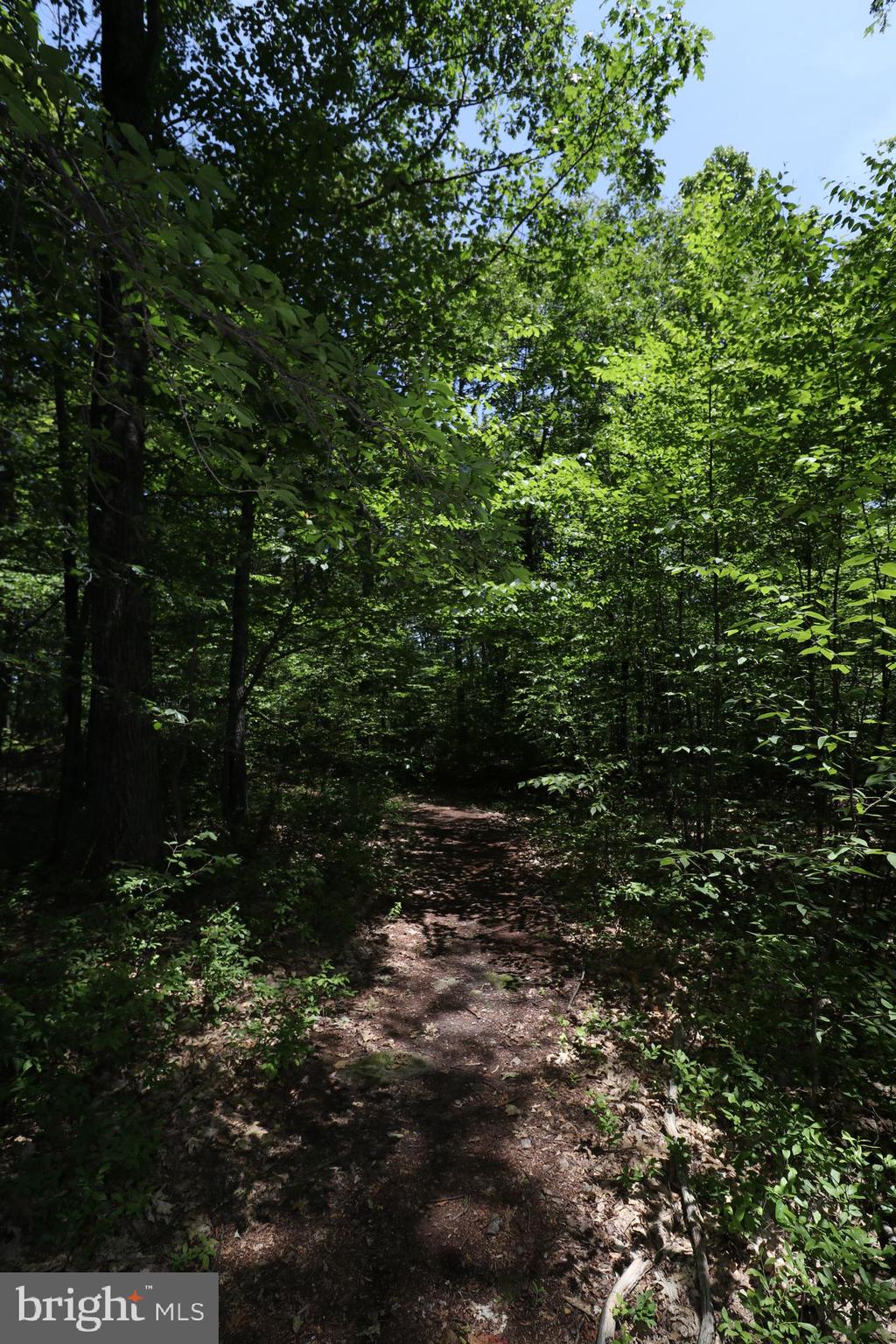 415 Mountaintop Road McHenry, MD 21541 - Photo 108 of 134