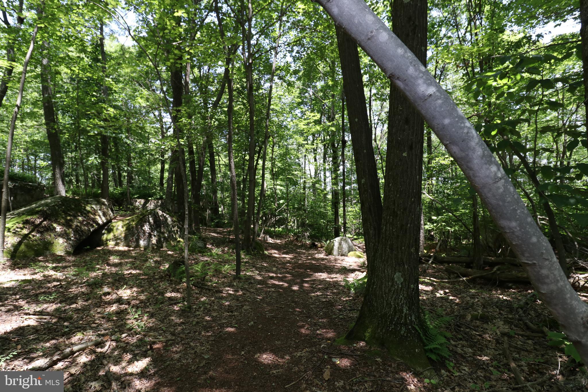 415 Mountaintop Road McHenry, MD 21541 - Photo 110 of 134