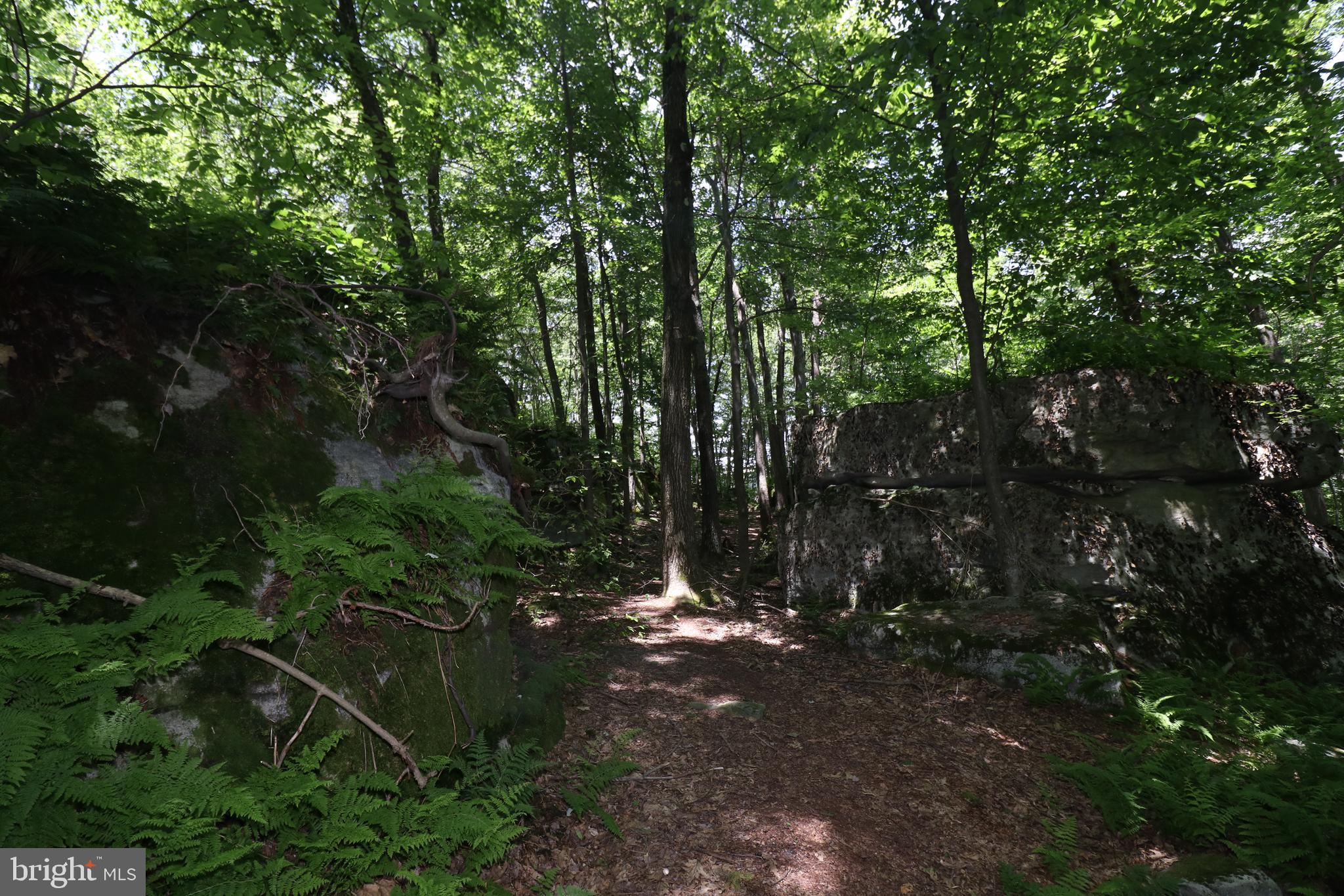 415 Mountaintop Road McHenry, MD 21541 - Photo 111 of 134