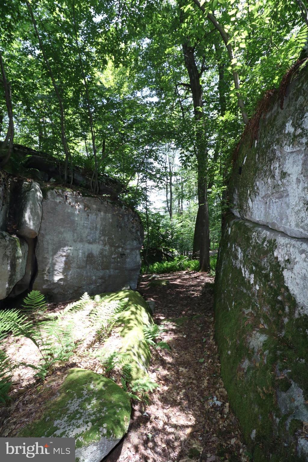 415 Mountaintop Road McHenry, MD 21541 - Photo 113 of 134