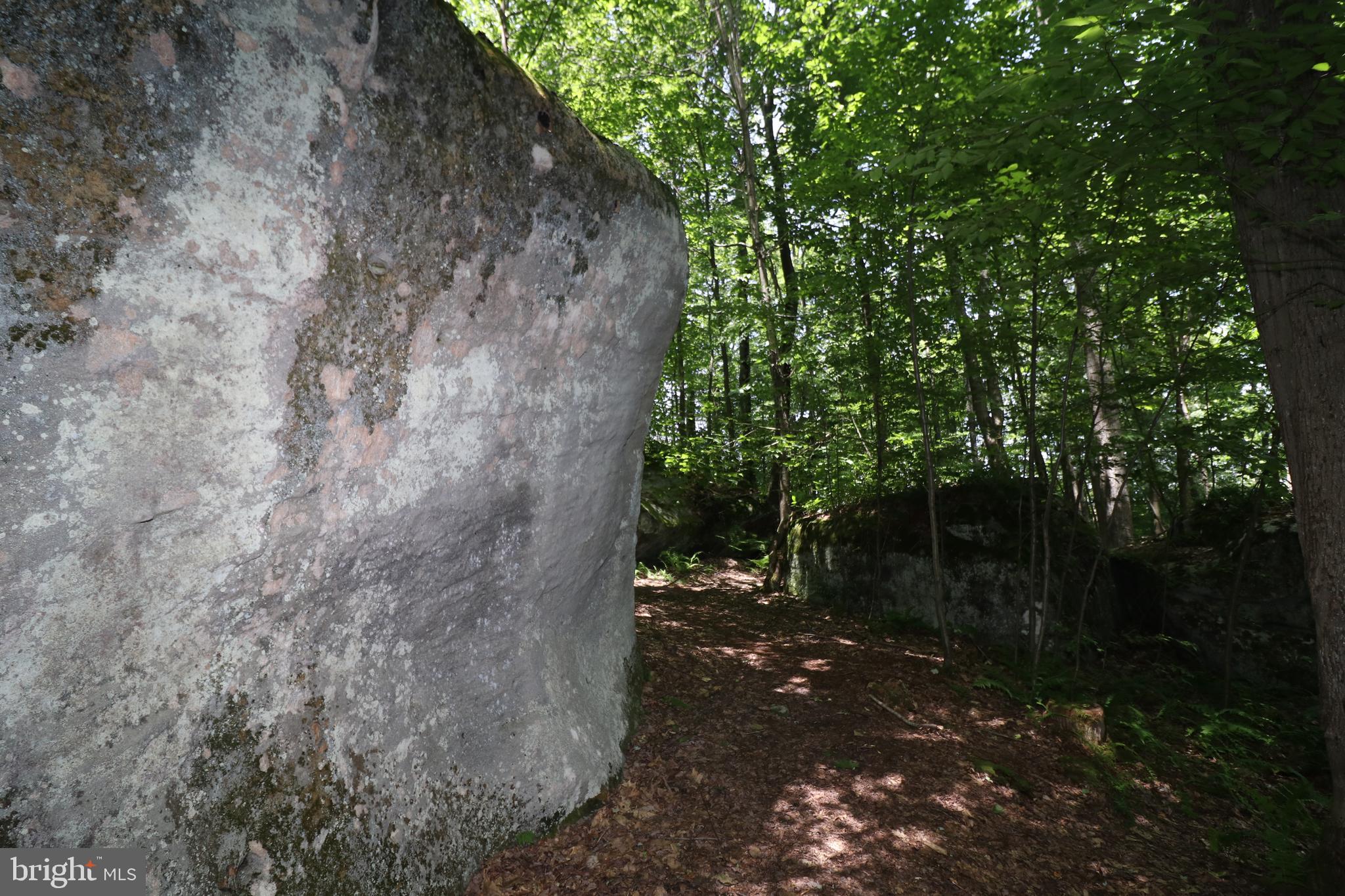 415 Mountaintop Road McHenry, MD 21541 - Photo 114 of 134 a view of a forest with trees in the background