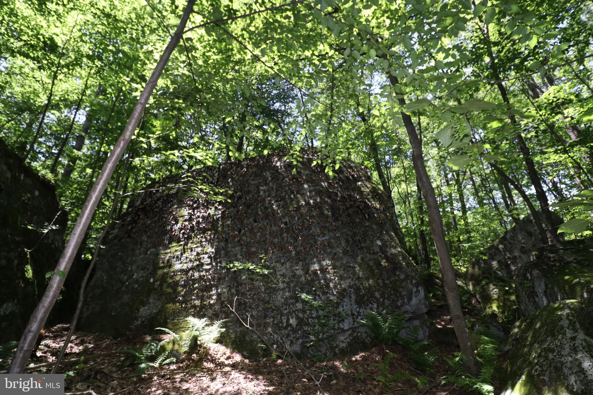 415 Mountaintop Road McHenry, MD 21541 - Photo 115 of 134