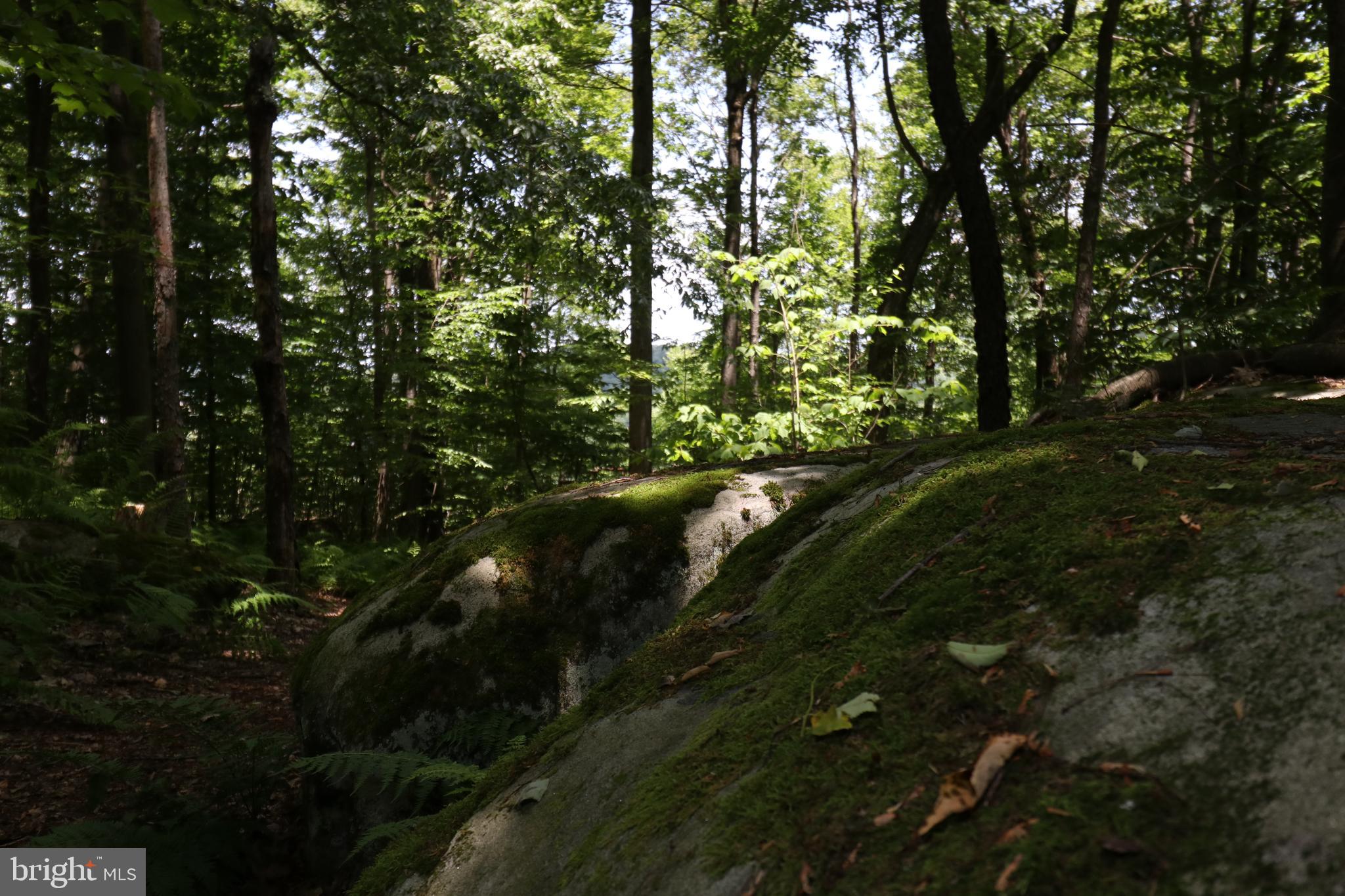 415 Mountaintop Road McHenry, MD 21541 - Photo 116 of 134