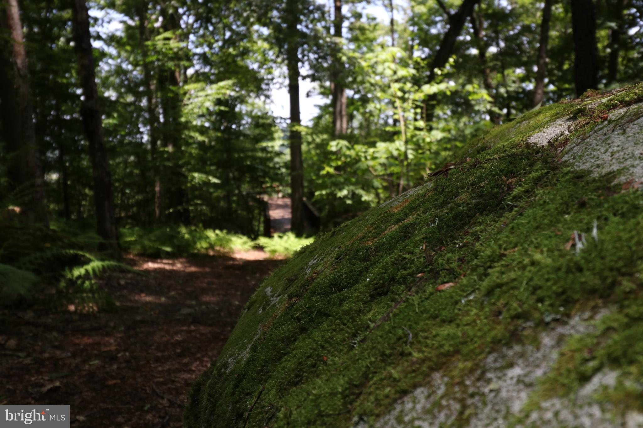 415 Mountaintop Road McHenry, MD 21541 - Photo 117 of 134