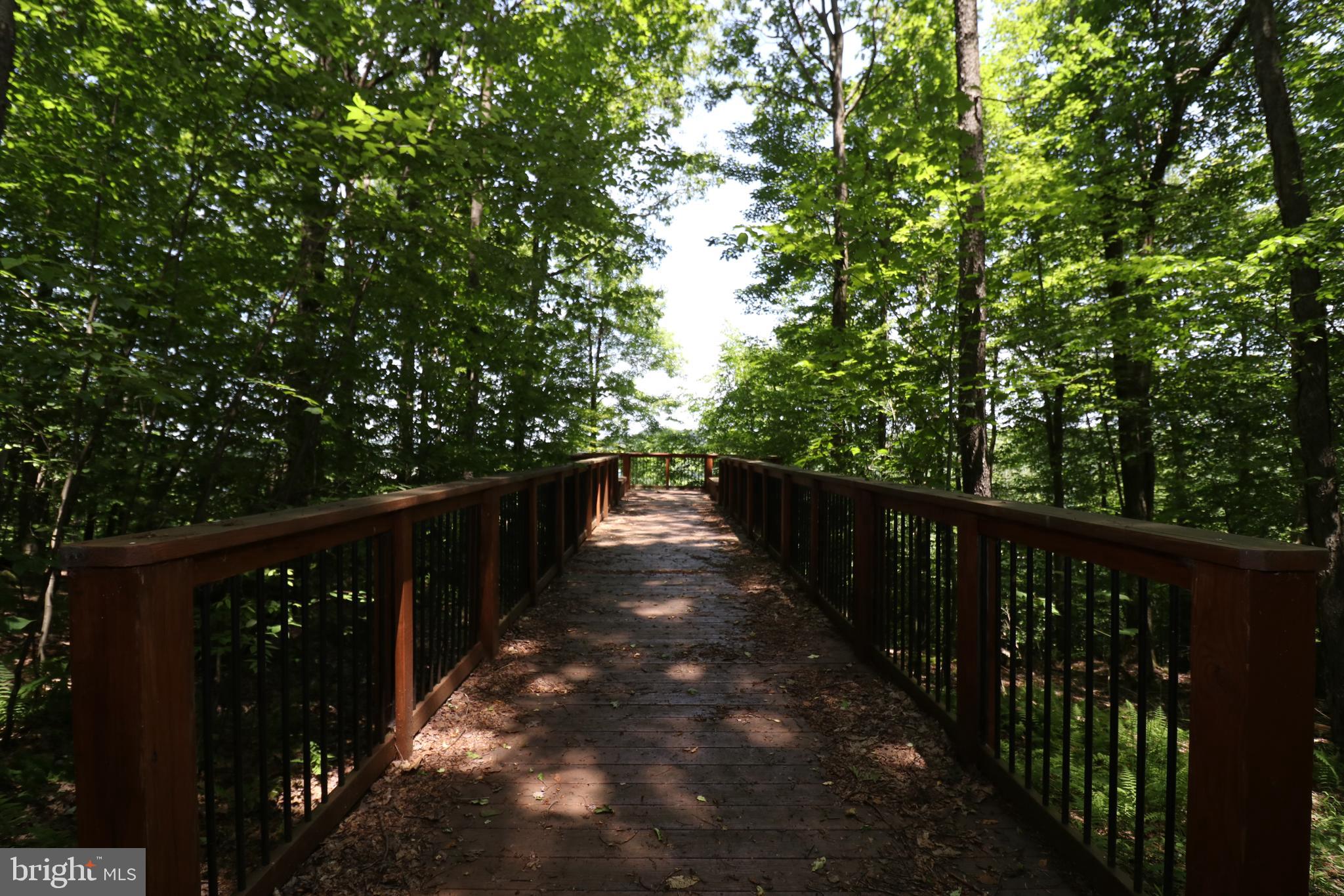 415 Mountaintop Road McHenry, MD 21541 - Photo 118 of 134