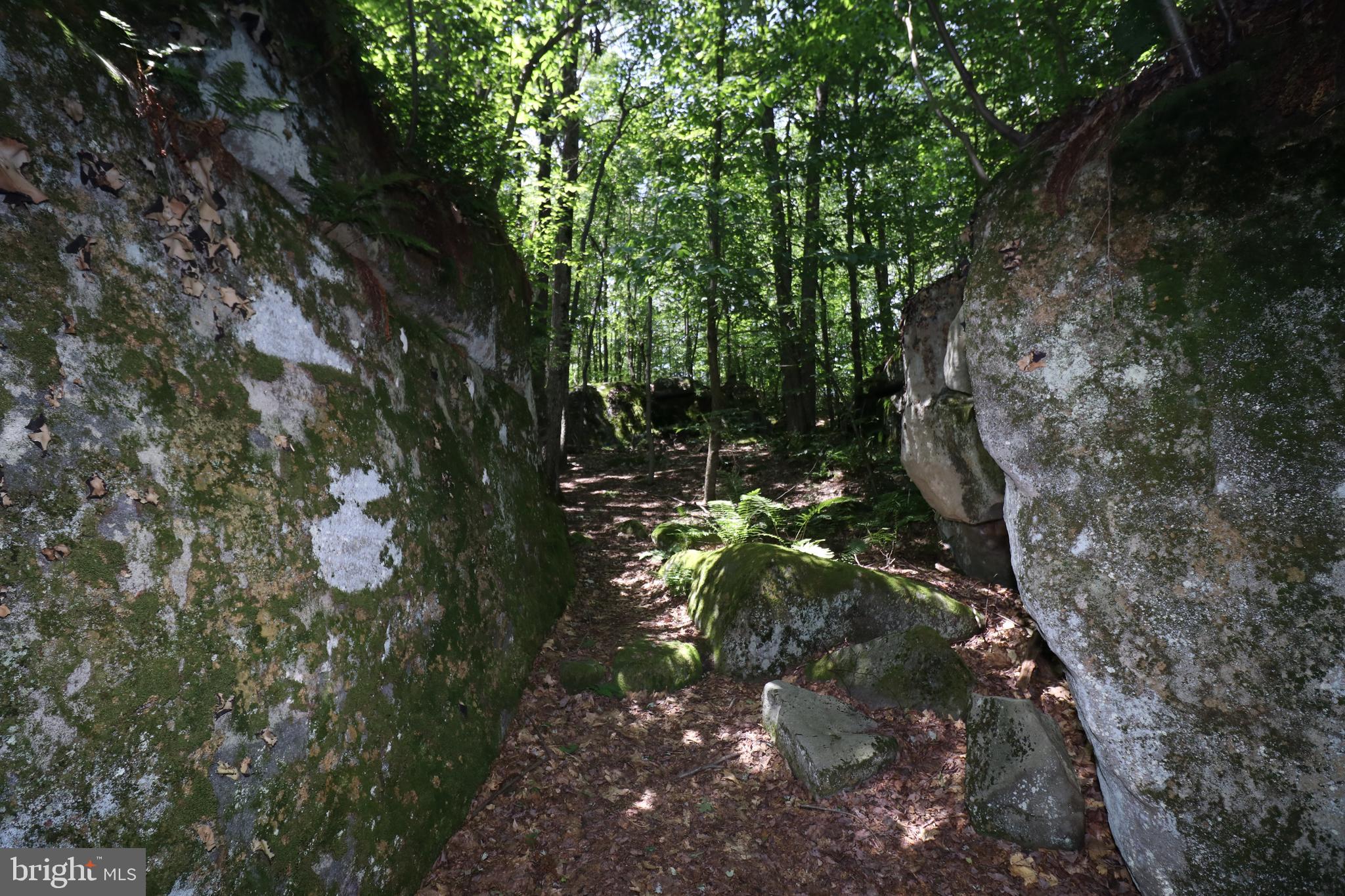 415 Mountaintop Road McHenry, MD 21541 - Photo 121 of 134