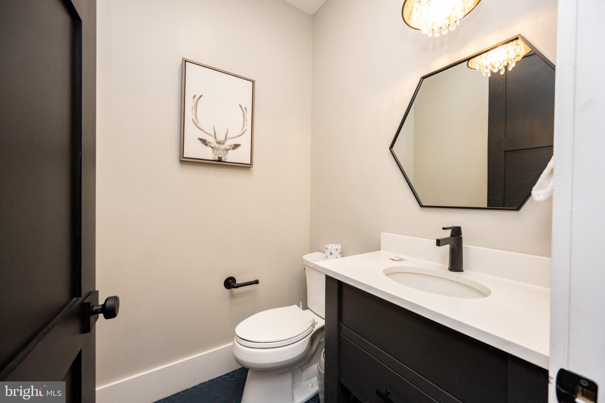 415 Mountaintop Road McHenry, MD 21541 - Photo 17 of 134 a bathroom with a sink vanity and toilet