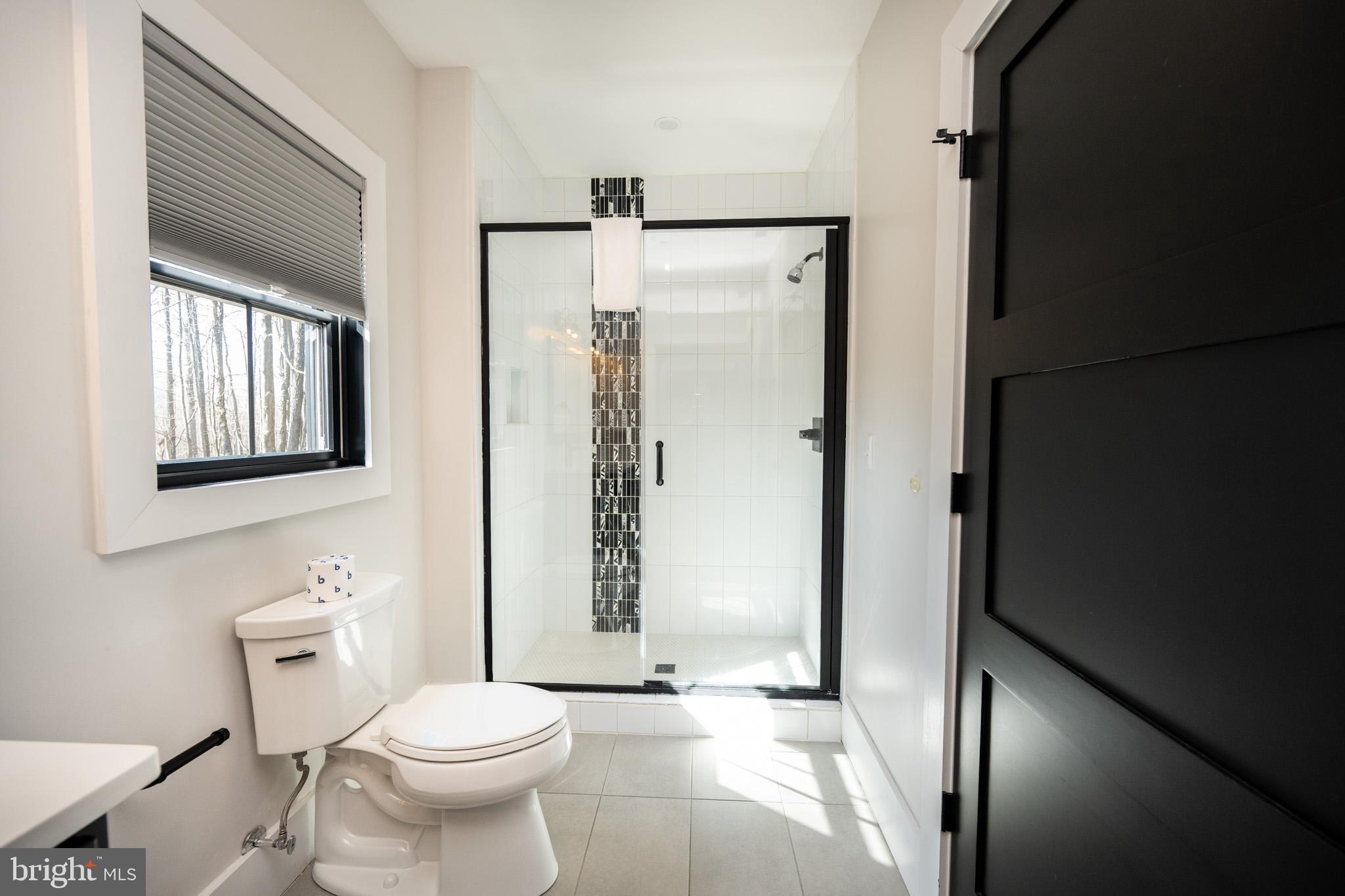 415 Mountaintop Road McHenry, MD 21541 - Photo 81 of 134 a bathroom with a toilet a sink and a mirror
