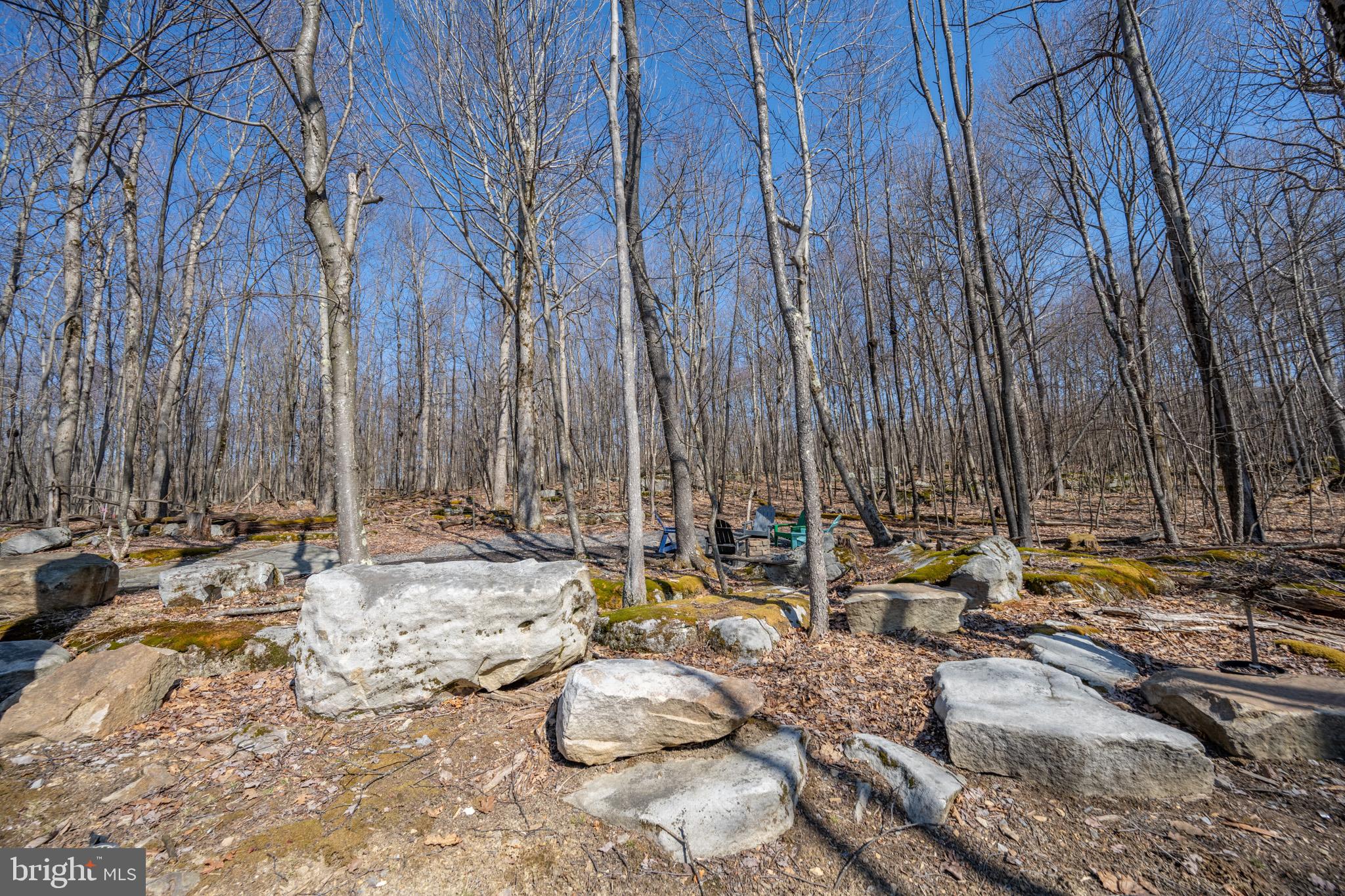 415 Mountaintop Road McHenry, MD 21541 - Photo 85 of 134