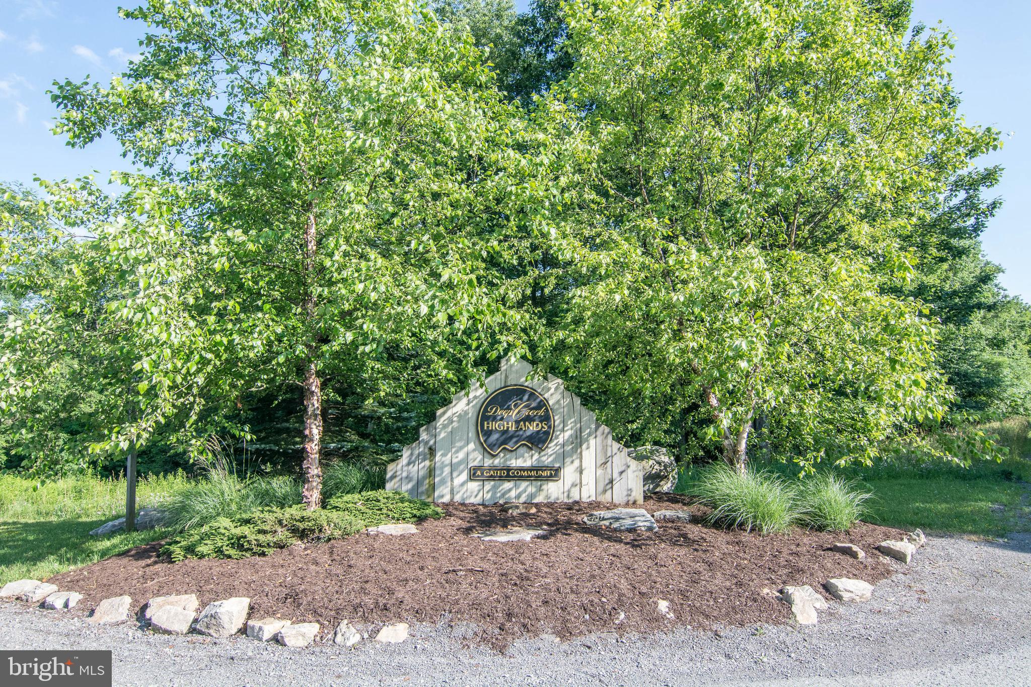415 Mountaintop Road McHenry, MD 21541 - Photo 88 of 134 a backyard of a house with lots of green space