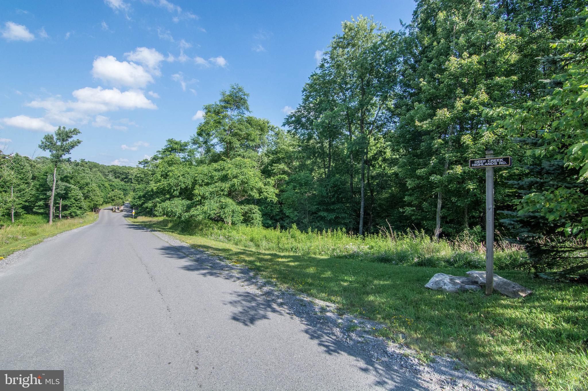 415 Mountaintop Road McHenry, MD 21541 - Photo 92 of 134