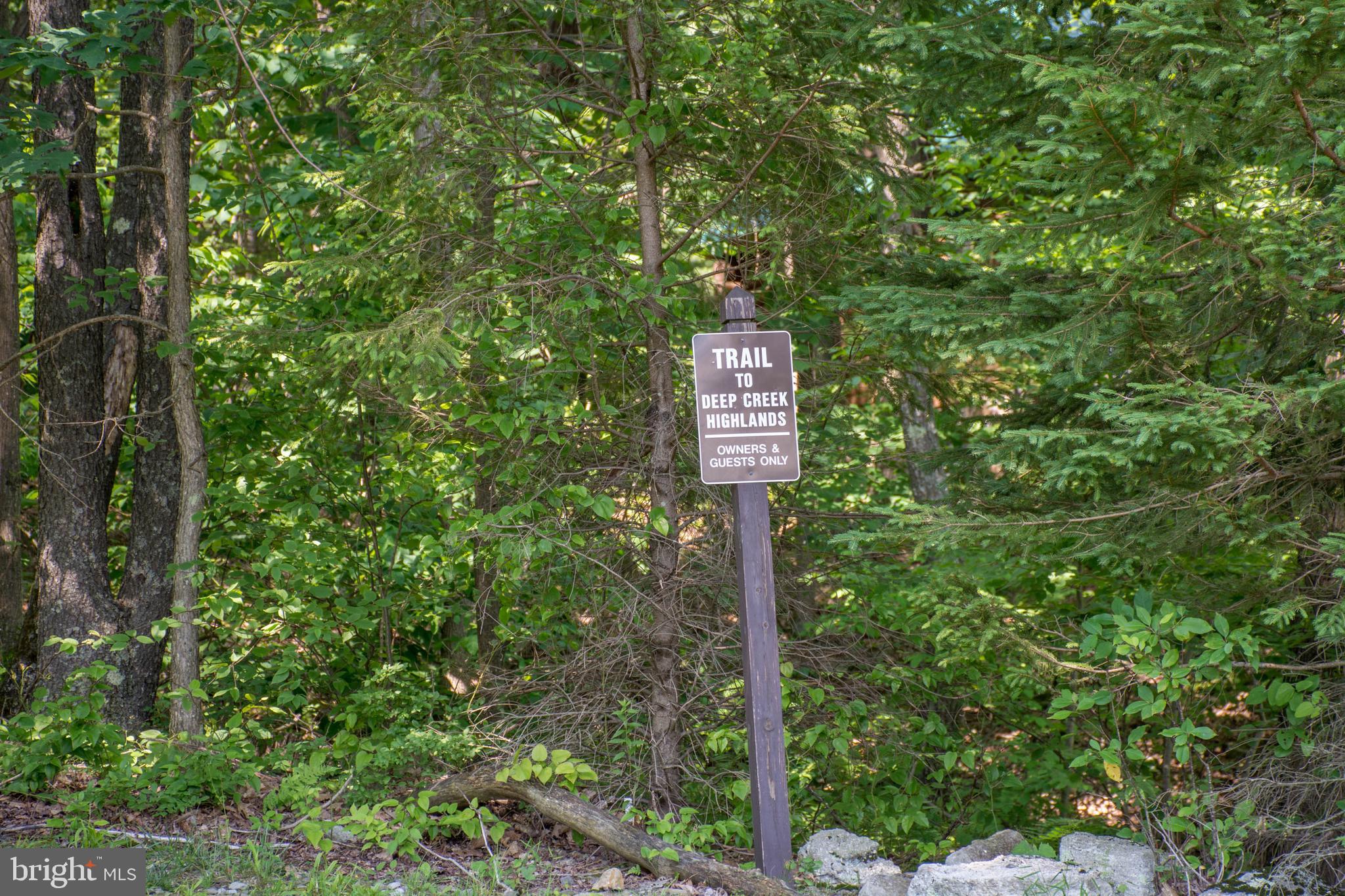 415 Mountaintop Road McHenry, MD 21541 - Photo 94 of 134