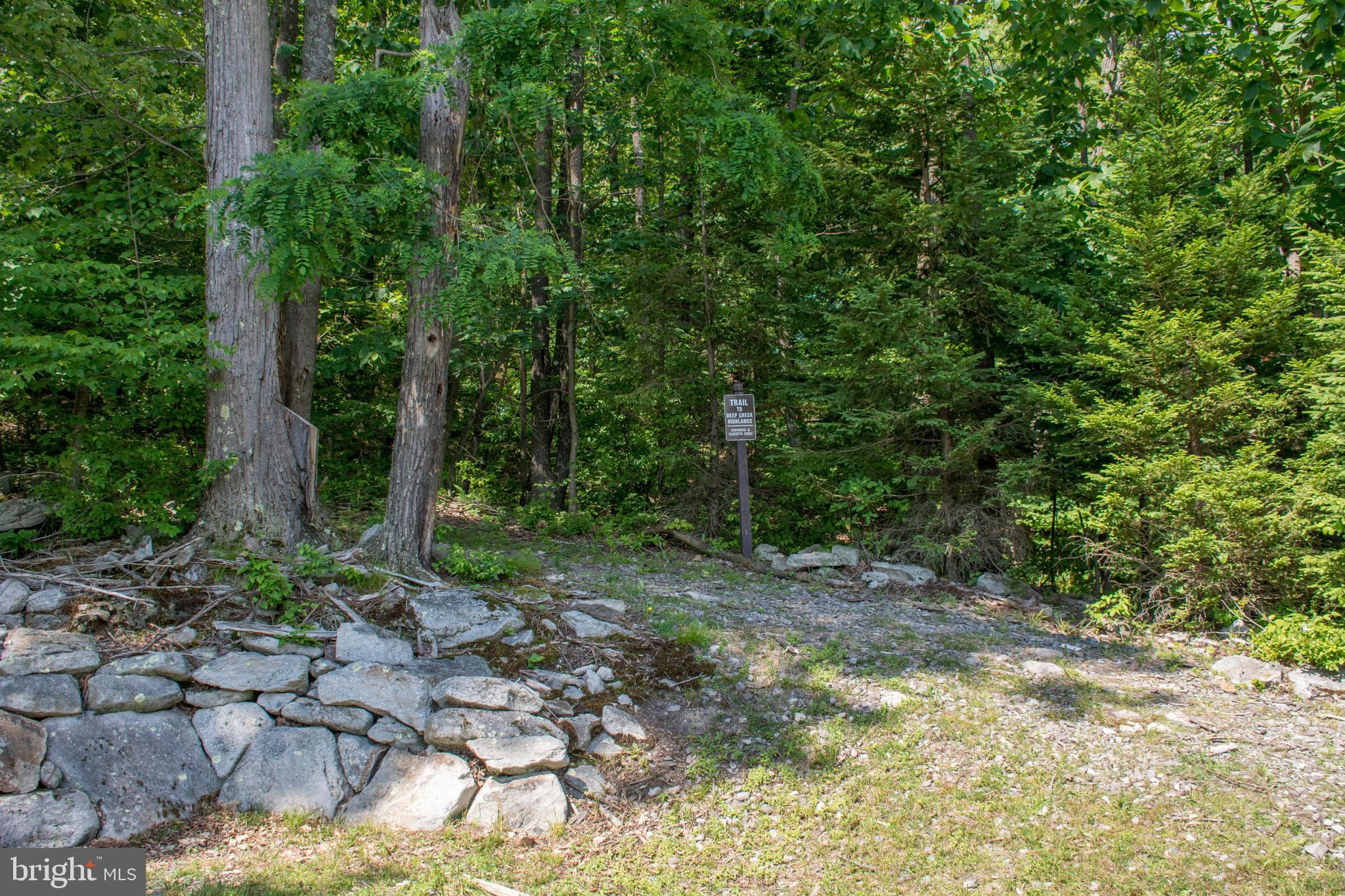 415 Mountaintop Road McHenry, MD 21541 - Photo 95 of 134