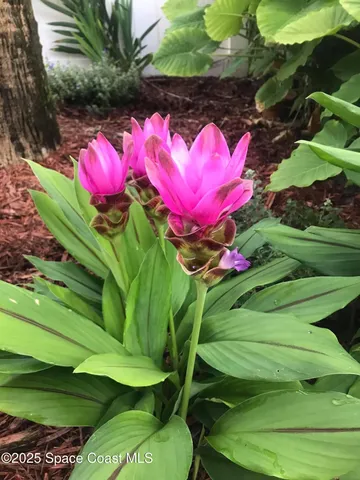 $829,000 | 6710 Florida A1A, Melbourne Beach, FL 32951