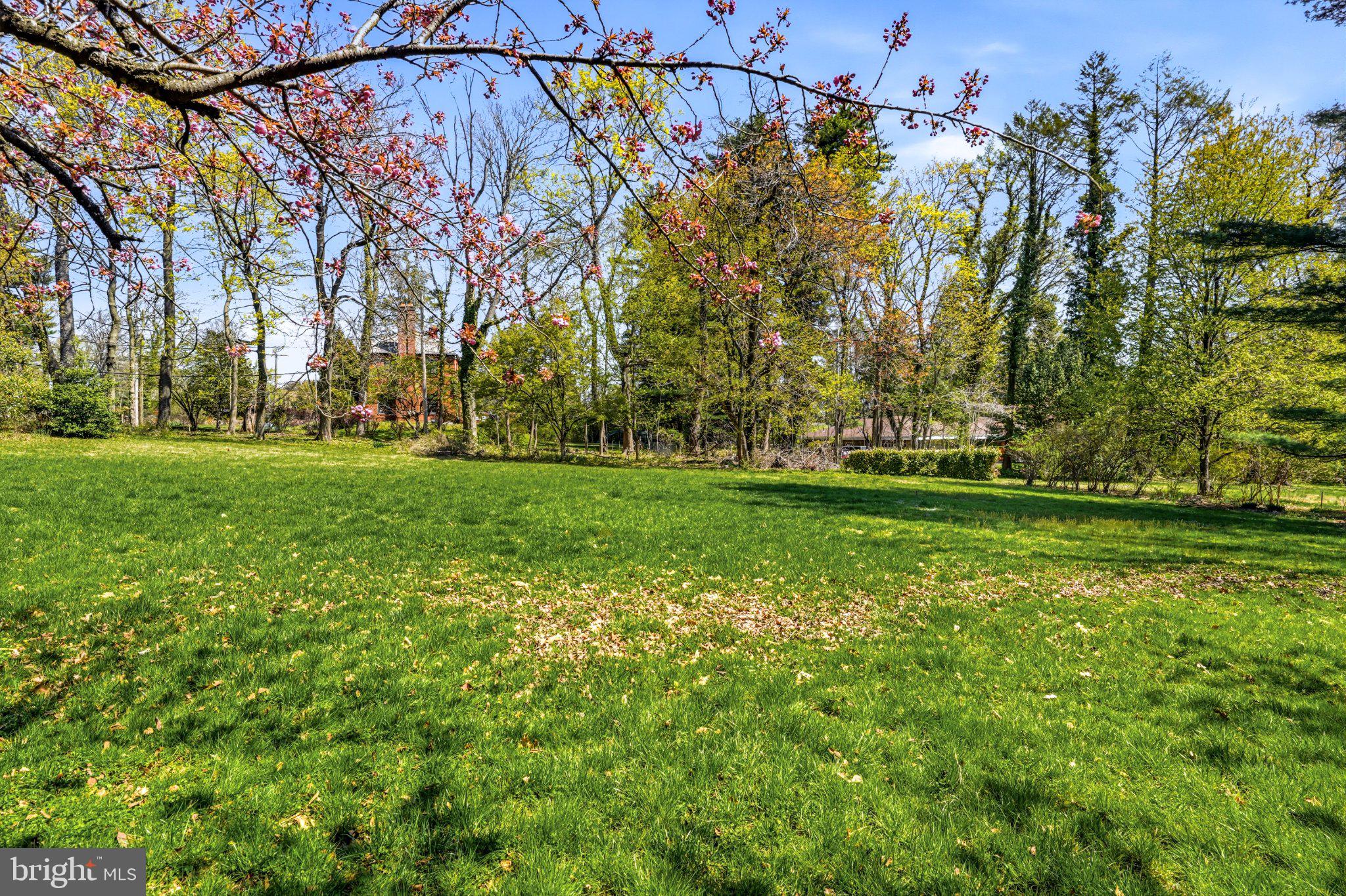 1735 Ashbourne Road Elkins Park, PA 19027 - Photo 58 of 82 a backyard of a house with lots of green space