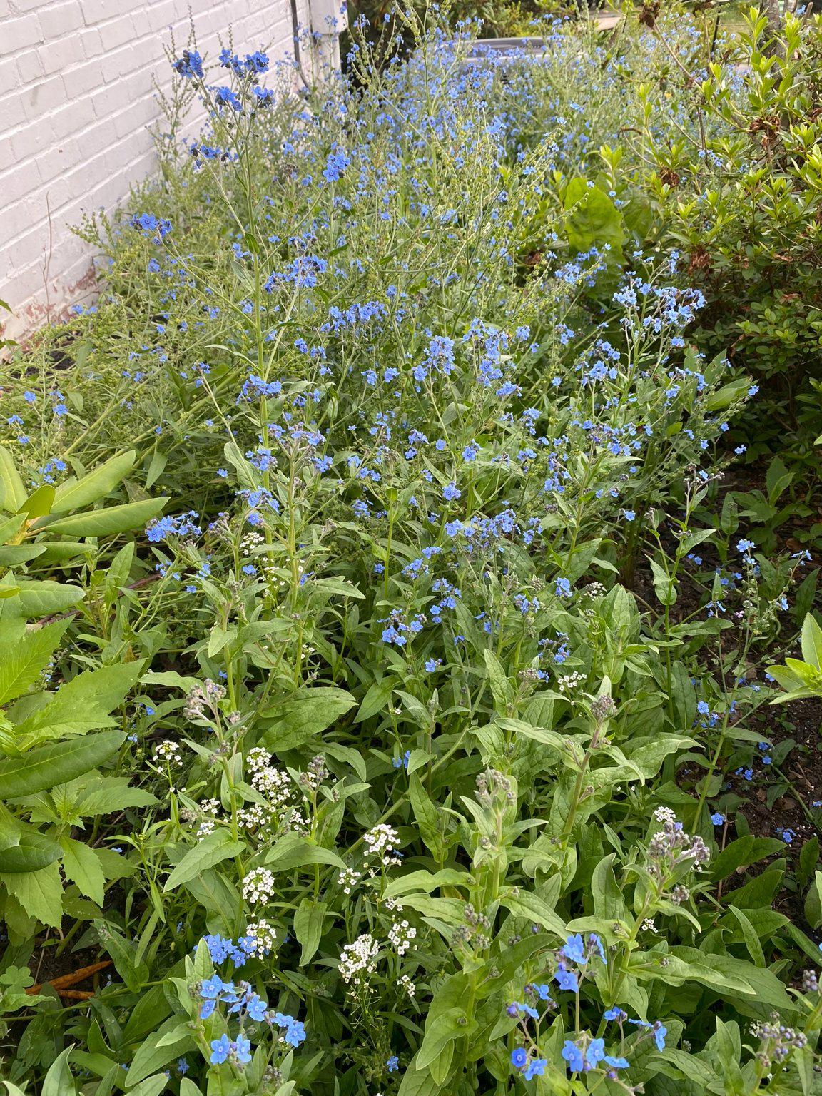 1735 Ashbourne Road Elkins Park, PA 19027 - Photo 76 of 82 a view of a lush green field