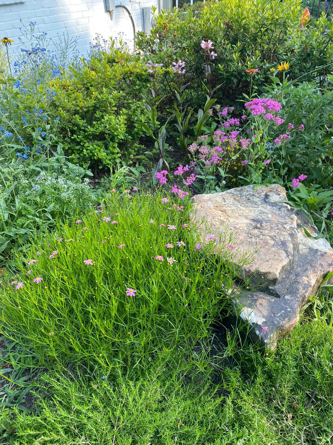 1735 Ashbourne Road Elkins Park, PA 19027 - Photo 77 of 82 Flower garden when in bloom.