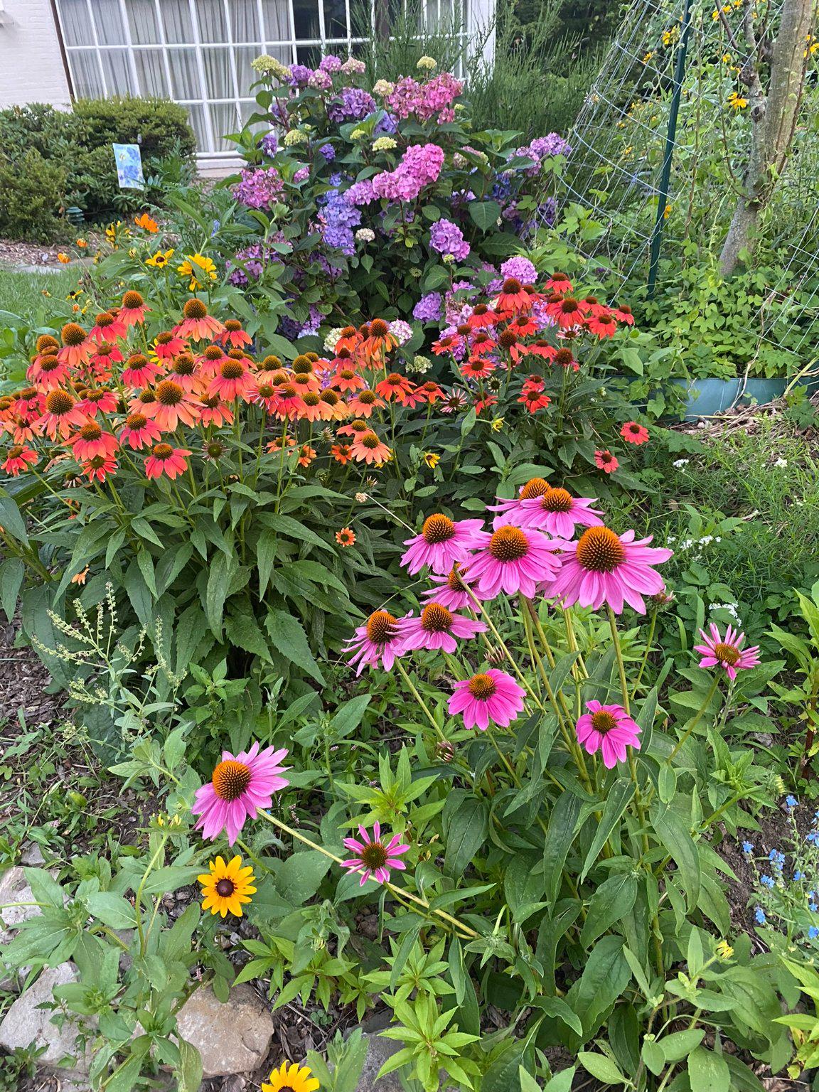 1735 Ashbourne Road Elkins Park, PA 19027 - Photo 79 of 82 Flower garden when in bloom.