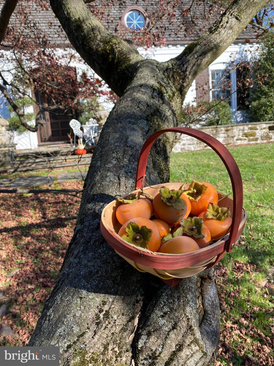 1735 Ashbourne Road Elkins Park, PA 19027 - Photo 82 of 82 a view of a swimming pool with a sitting space
