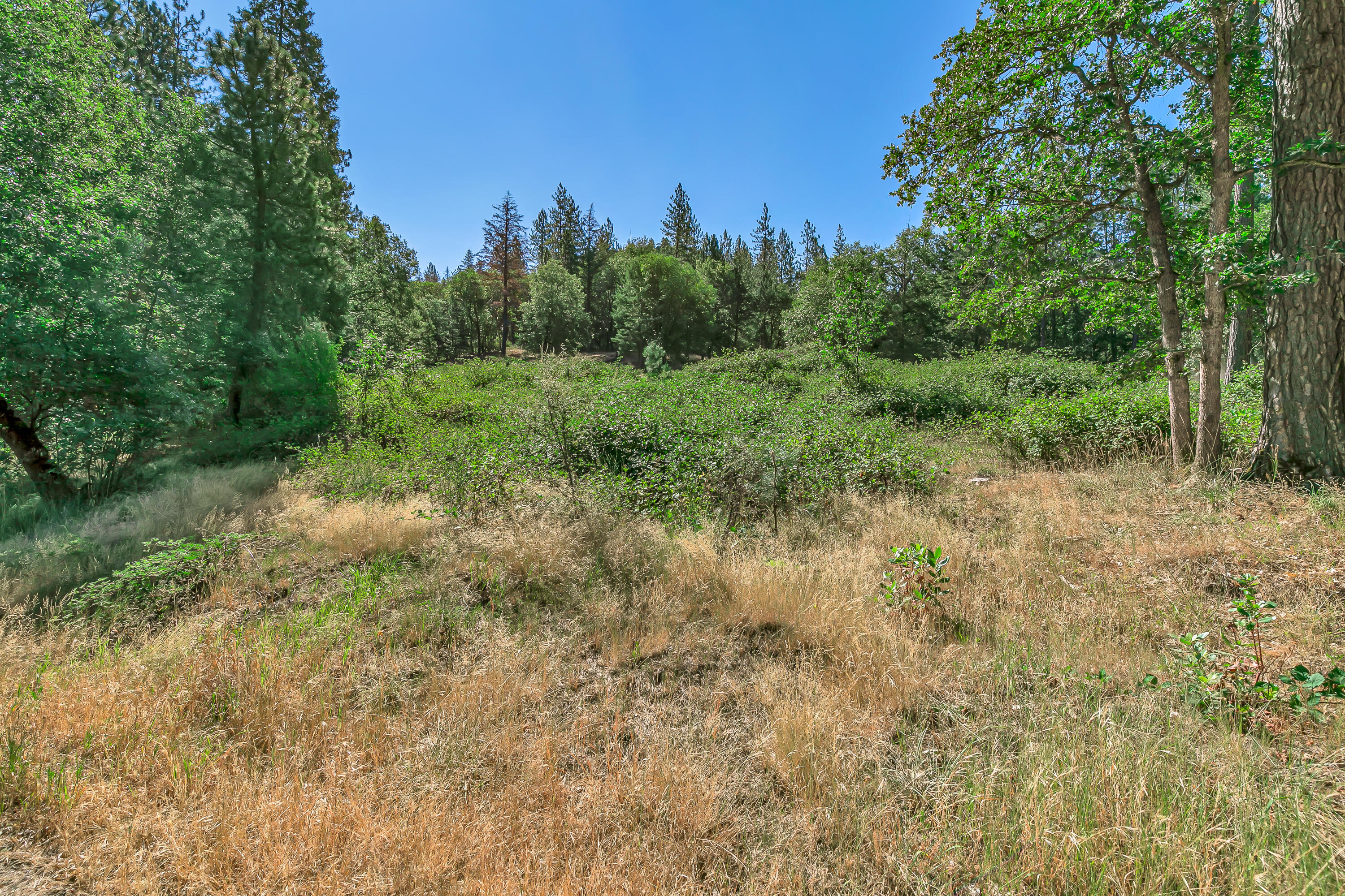 9820 East Evans Creek Road Rogue River, OR 97537 - Photo 57 of 58 9R9A5530