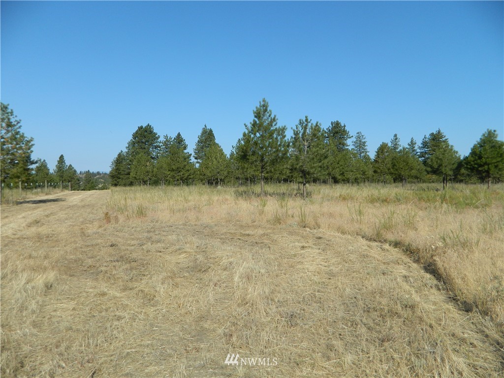 111 Fancher Dam Road Tonasket, WA 98855 - Photo 1 of 13 Gallery Image 1
