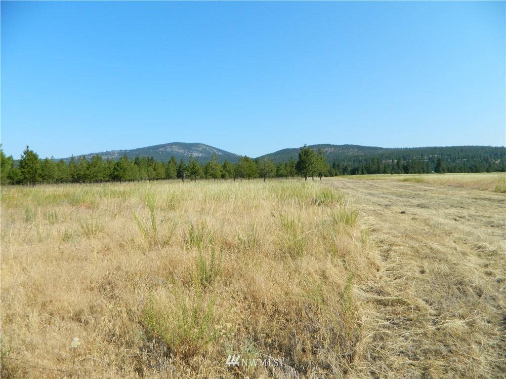 111 Fancher Dam Road Tonasket, WA 98855 - Photo 2 of 13 Gallery Image 2