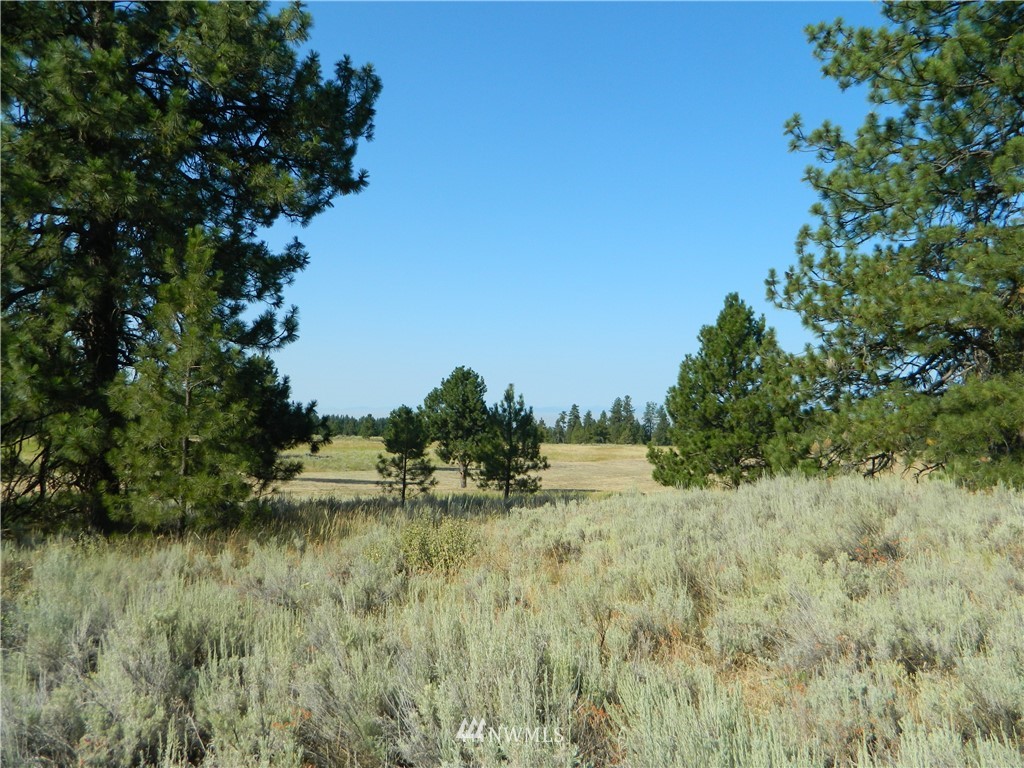 111 Fancher Dam Road Tonasket, WA 98855 - Photo 11 of 13 Gallery Image 11