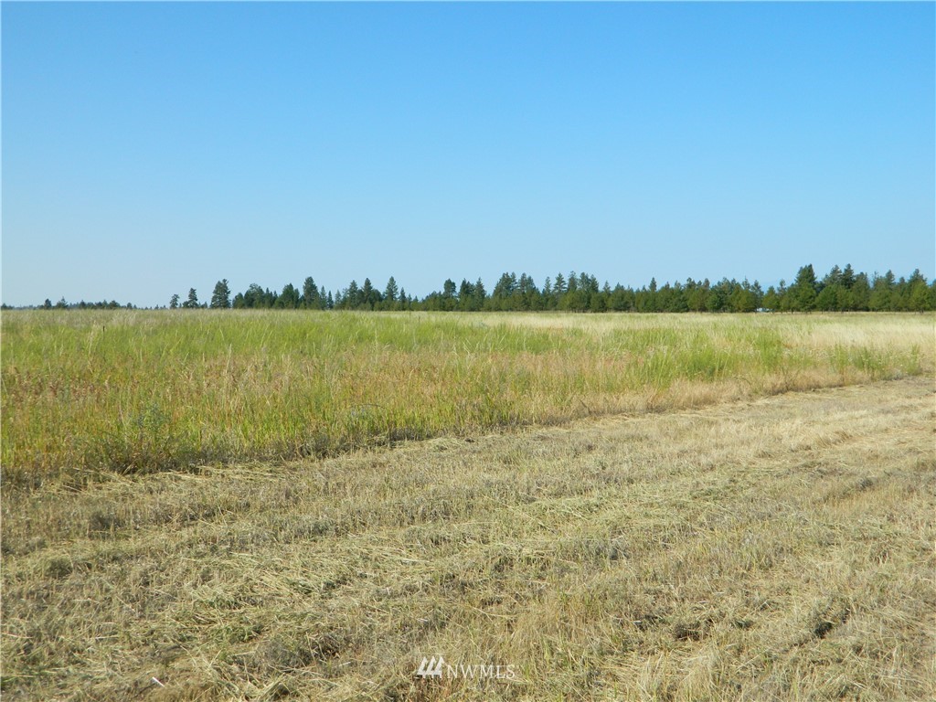 111 Fancher Dam Road Tonasket, WA 98855 - Photo 13 of 13 Gallery Image 13