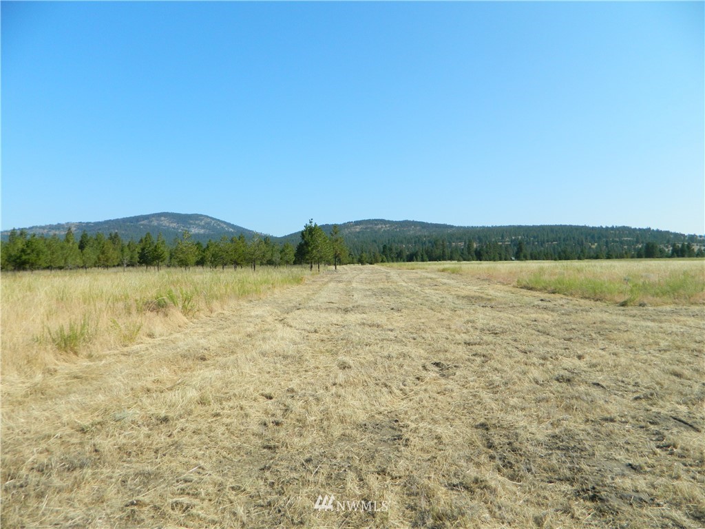 111 Fancher Dam Road Tonasket, WA 98855 - Photo 4 of 13 Gallery Image 4