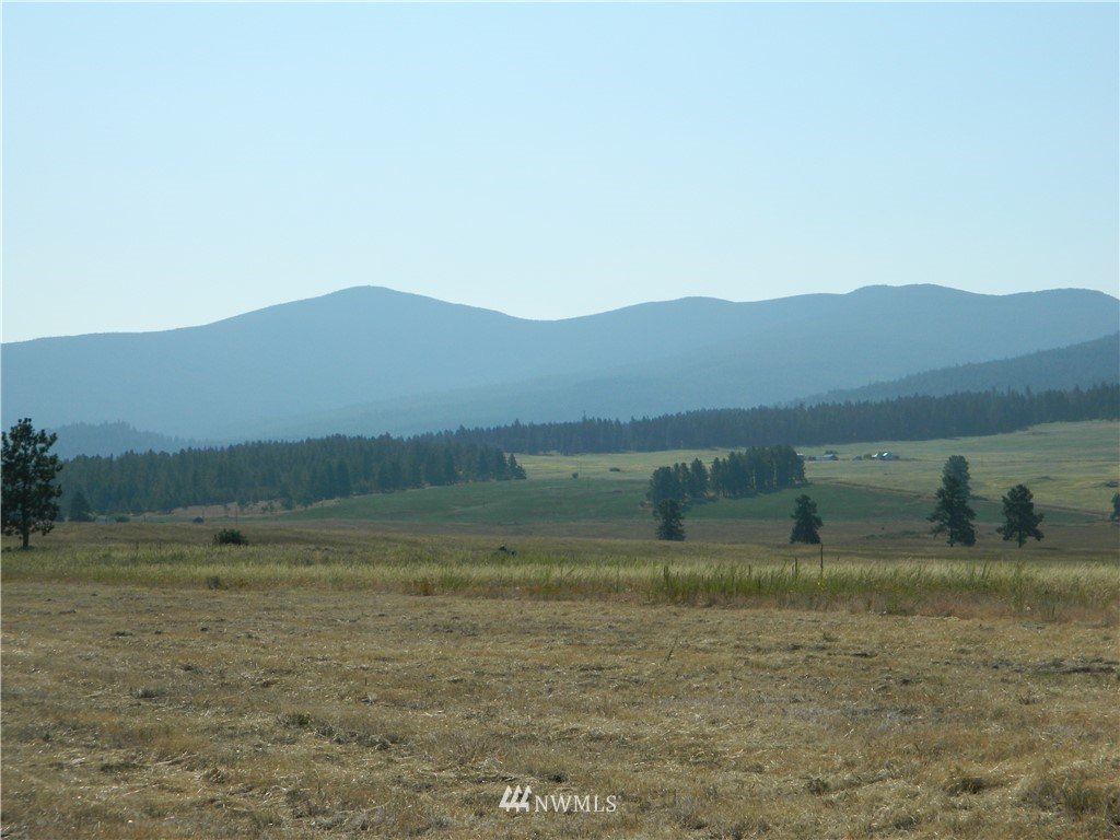 111 Fancher Dam Road Tonasket, WA 98855 - Photo 5 of 13 Gallery Image 5