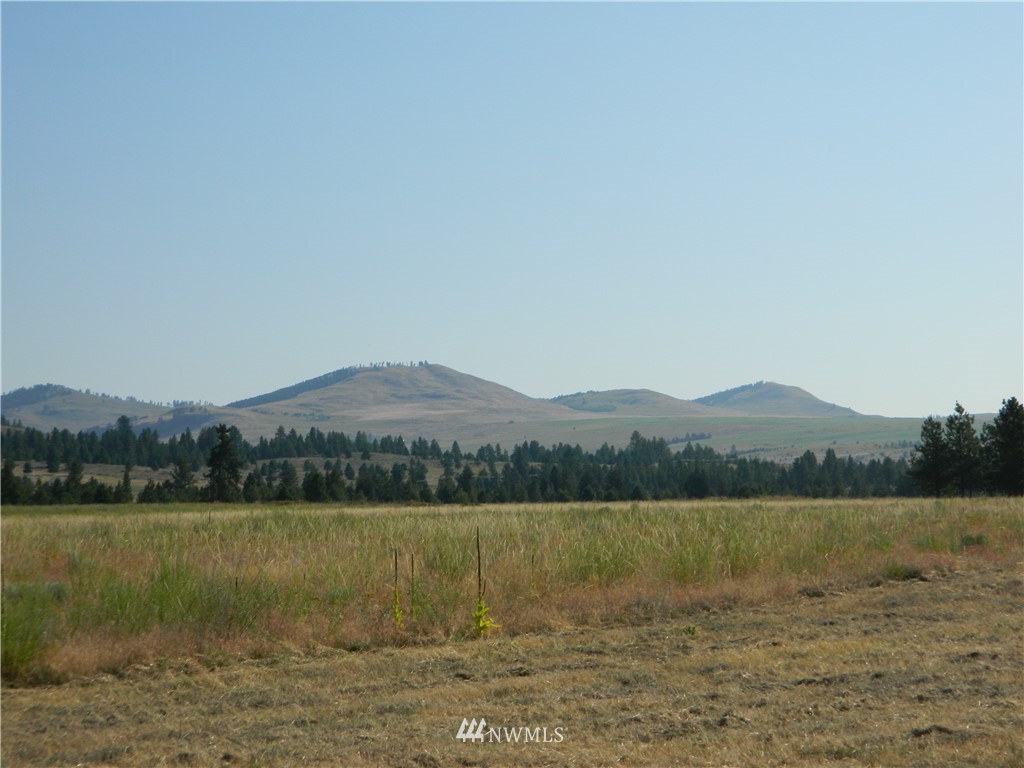 111 Fancher Dam Road Tonasket, WA 98855 - Photo 7 of 13 Gallery Image 7