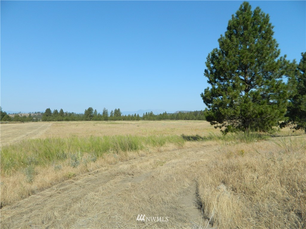 111 Fancher Dam Road Tonasket, WA 98855 - Photo 8 of 13 Gallery Image 8