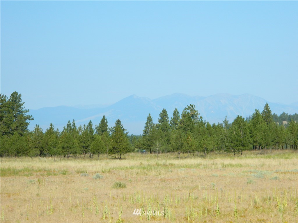 111 Fancher Dam Road Tonasket, WA 98855 - Photo 9 of 13 Gallery Image 9