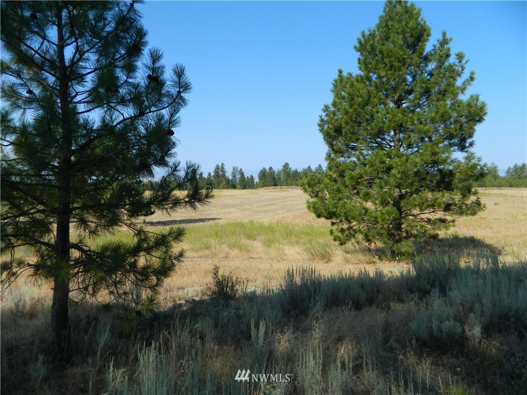 111 Fancher Dam Road Tonasket, WA 98855 - Photo 10 of 13 Gallery Image 10