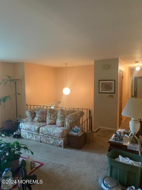 45 Butterfly Road Jackson, NJ 08527 - Photo 18 of 68 IMG_6526 - Copy - Copy - Copy