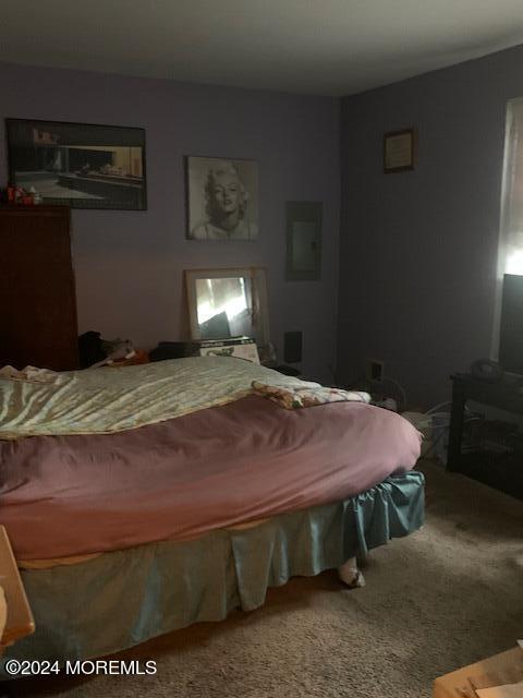 45 Butterfly Road Jackson, NJ 08527 - Photo 53 of 68 IMG_6563 - Copy - Copy