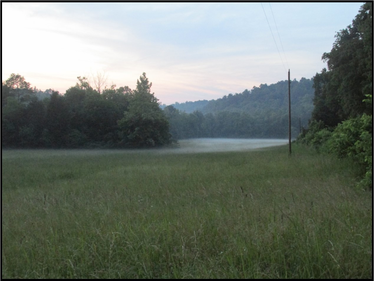 3519 Buck Fork Road Linden, TN 37096 - Photo 2 of 10 Gallery Image 2