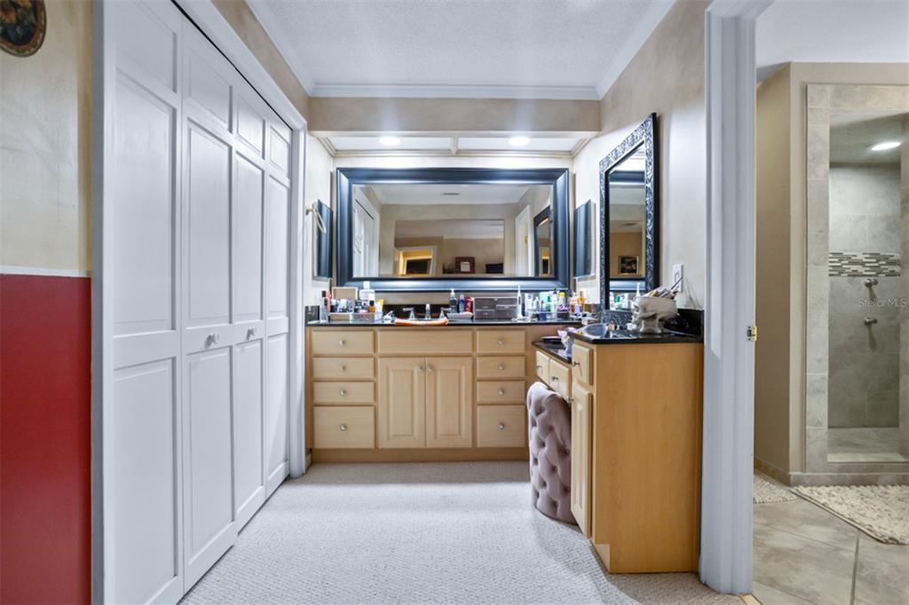 11407 Orilla Del Rio Place Temple Terrace, FL 33617 - Photo 13 of 39 a view of kitchen with cabinets and window