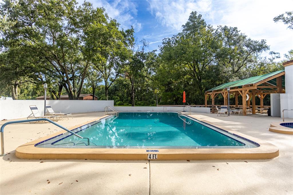 11407 Orilla Del Rio Place Temple Terrace, FL 33617 - Photo 25 of 39 a view of a swimming pool with a patio