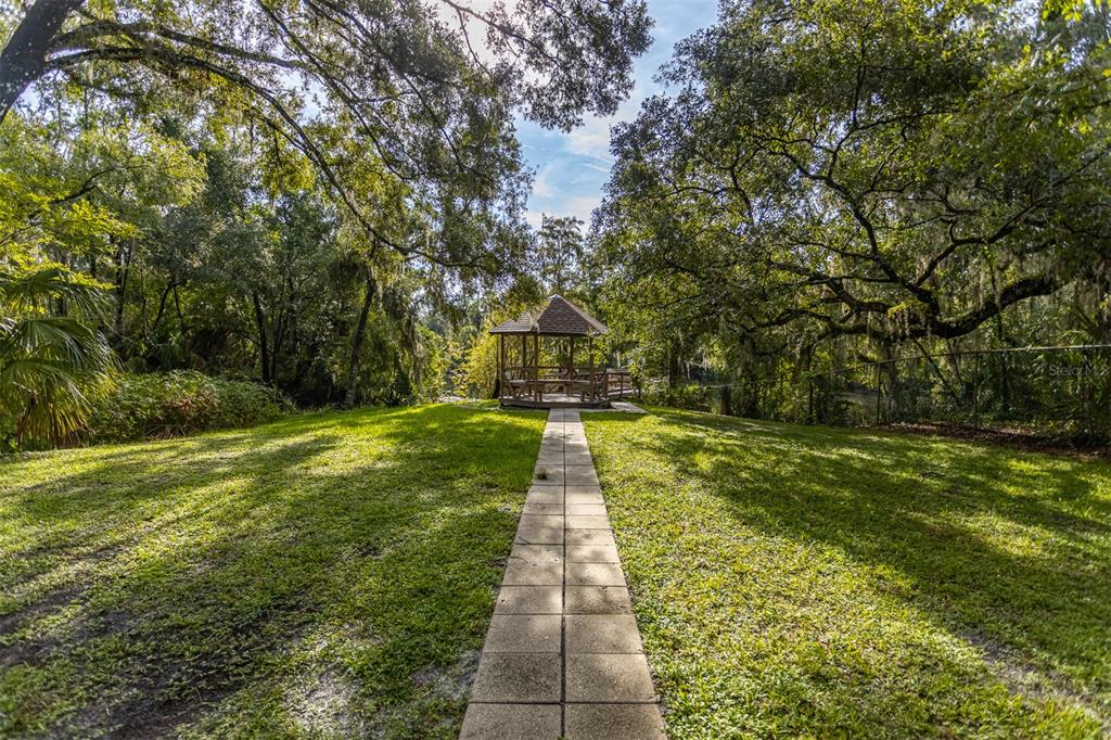 11407 Orilla Del Rio Place Temple Terrace, FL 33617 - Photo 28 of 39 a view of a yard with large trees