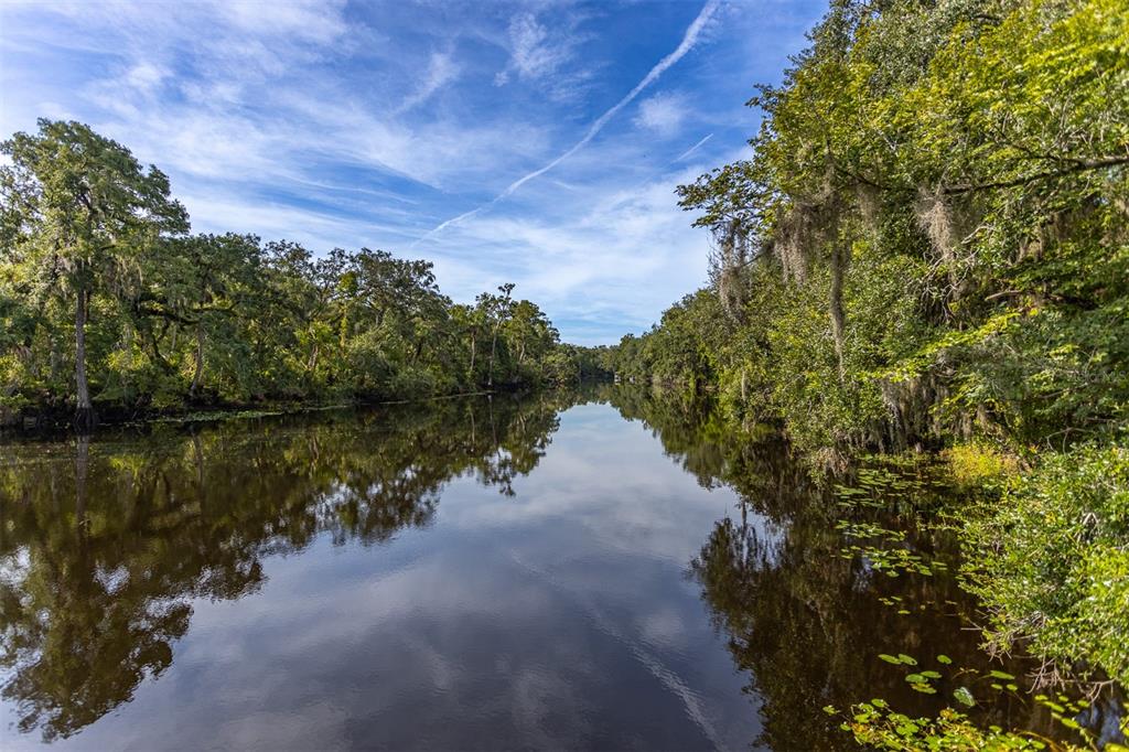 11407 Orilla Del Rio Place Temple Terrace, FL 33617 - Photo 31 of 39 a view of a lake in middle of forest