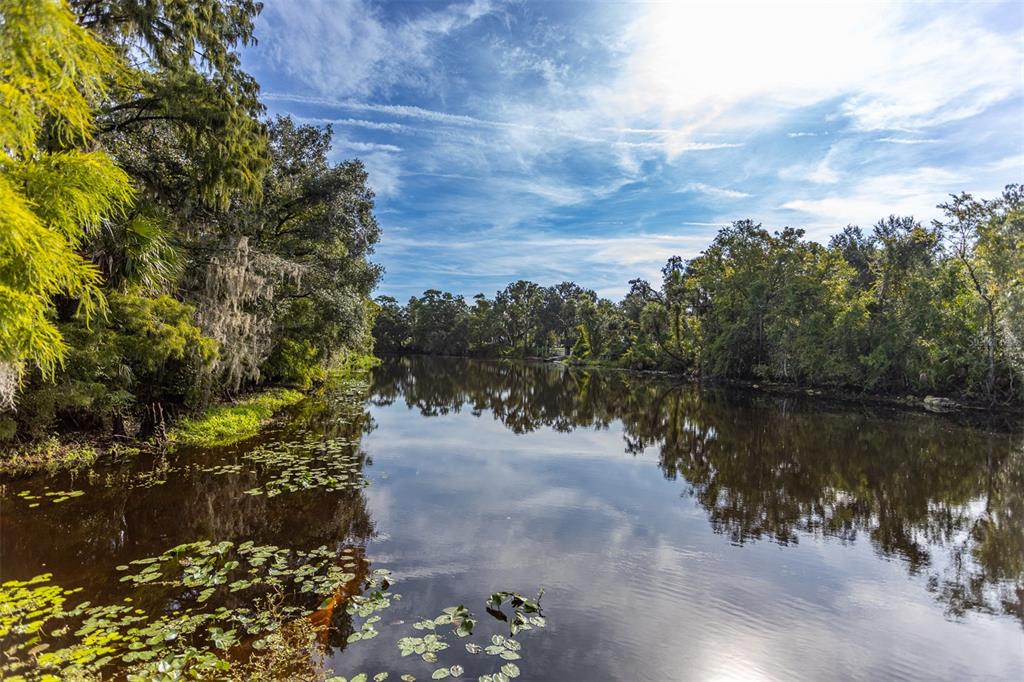 11407 Orilla Del Rio Place Temple Terrace, FL 33617 - Photo 32 of 39 a view of a lake with mountain view