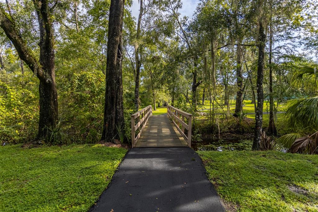 11407 Orilla Del Rio Place Temple Terrace, FL 33617 - Photo 33 of 39 a view of park with large trees