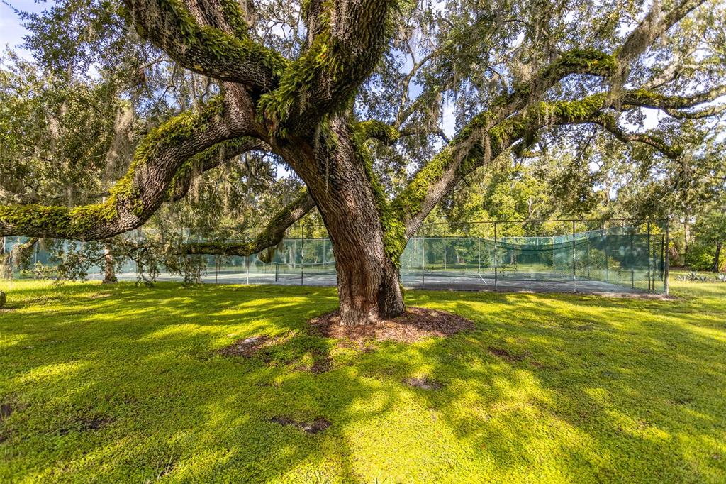 11407 Orilla Del Rio Place Temple Terrace, FL 33617 - Photo 35 of 39 a view of lake view
