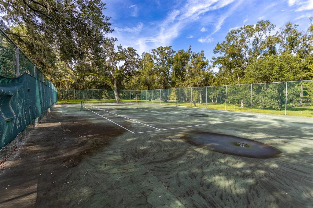 11407 Orilla Del Rio Place Temple Terrace, FL 33617 - Photo 36 of 39 a view of a basketball court