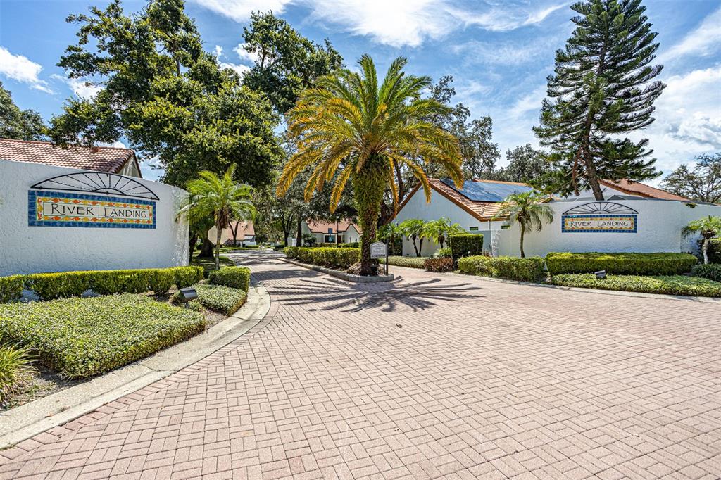 11407 Orilla Del Rio Place Temple Terrace, FL 33617 - Photo 38 of 39 a view of swimming pool with a patio